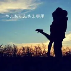 やまちゃんさま専用