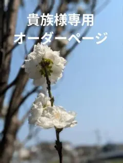 貴族様専用オーダーページ