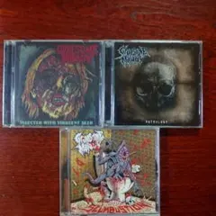 ブルデス Infernal Revulsionのアルバムセット - メルカリ