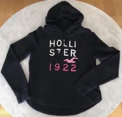 HOLLISTER スウェットパーカー　 レディースS
