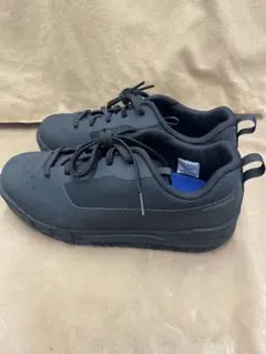 Item thumbnail for item 8e0de291-34b2-4dff-989e-a6171c4c461a