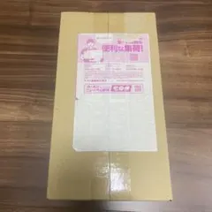 【新品・未開封】ポケモンセンターフクオカ　スペシャルボックス　シュリンク付き