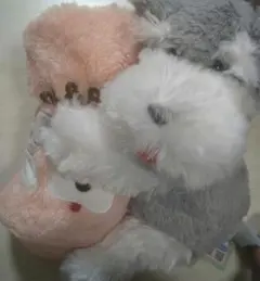 y**様 シュナとボブ ぬいぐるみブランケット ボブ ぬいぐるみ ブランケット