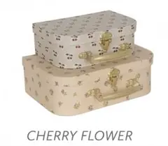 コンゲススロイド ペーパートランク 2個セット　cherry flower