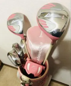 お買得✨美品ワールドイーグル　レディースクラブセット