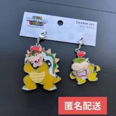 USJ スーパーニンテンドーワールド クッパ＆クッパJr. チャームセット