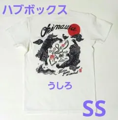 ハブボックス　Tシャツ　SS