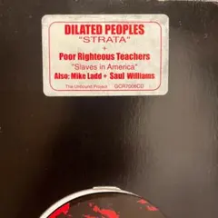 Dilated Peoples Strata 赤色レコード