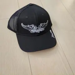 Item thumbnail for item f246dee1-5ff8-4ad9-ae0d-a92e7f302f31