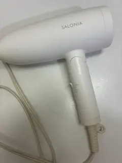 SALONIA トリートメントミストドライヤー 本体 SAL21102WH - メルカリ
