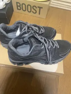 ASICS GEL-KAYANO 14 ブラック/キャリアグレー 28.0cm