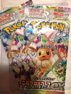 Pokémon Card Game Terastal Festival ex 2 packs