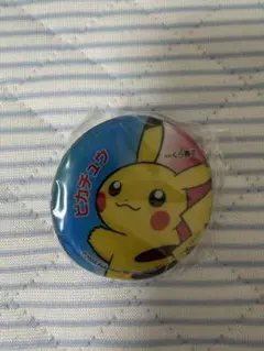 ピカチュウ ぷくぷくマグネット ポケモン