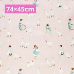 Item thumbnail for item e45dd441-79f9-4523-b511-f91cb7e9b252