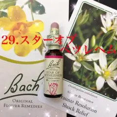 Item thumbnail for item 3d1316ea-64f9-48b7-b4d8-47afd96a0b7e