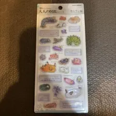 正規品　カミオジャパン　3Dビジュアルコレクション　大人の図鑑シール　ウミウシ編