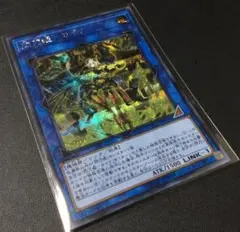 【良品 シークレットレア】遊戯王カード 閃刀姫 カイナ 希少品 即日配送