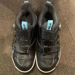 Item thumbnail for item 19d1a144-e356-4862-ac83-283e02138a9c