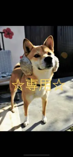 【saaa様専用☆】familiar スタイ