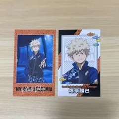 ヒロアカ 爆豪勝己 八景島シーパラダイス シーパラ トレーディングフォト風カード