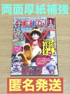 ワンピースマガジン20 カードなし　ONE PIECE magazine