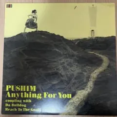 2026年最新】pushim レコードの人気アイテム - メルカリ