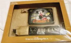 Item thumbnail for item 853d1d2c-65cf-41e5-9b40-f2742d216044