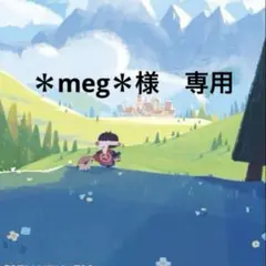 ＊meg＊様専用