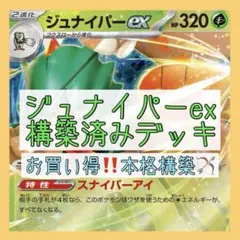 本格構築⚡️】スピアーexデッキ 構築済みデッキ ビーランブル - メルカリ
