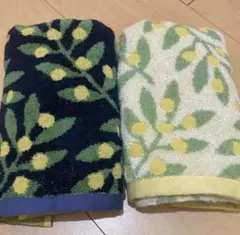 Item thumbnail for item 1fe5399a-c7bb-4d21-8dee-c1ab078c5531