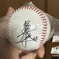 野球ボール 記念グッズ