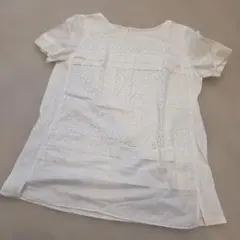 Item thumbnail for item d6a10ee7-351b-4049-b5e2-ac2af5f074de