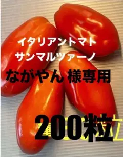 ながやん様専用 イタリアントマト 種 サンマルツァーノ200粒