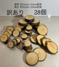 2026年最新】切り株 輪切りの人気アイテム - メルカリ