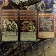 遊戯王　捕食植物　セット