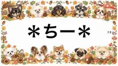 専用