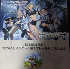 TGS zetaくん　OW オーバーウォッチ　フライヤー　スプレー