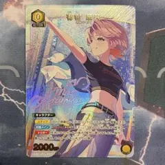 2026年最新】有村麻央パラレルの人気アイテム - メルカリ