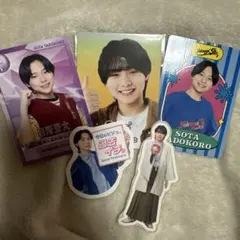 田所蒼大　プロフィールカードセット