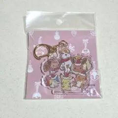 イッツデモ ポケモン コラボ ピカチュウ ピチュー デデンネ