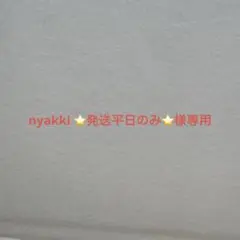 nyakki ⭐発送平日のみ⭐様専用　5kg 完熟梅 産地直送 追熟用のサムネイル