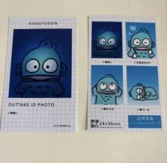 サンリオ　証明写真風スマロイド　NG集　ハンギョドン　【シールおまけつけます♩】