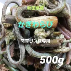 ママリン様 専用 かぎわらび 500g 採れたて