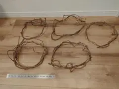 2026年最新】キウイのつるの人気アイテム - メルカリ