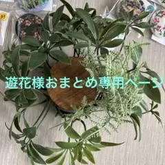 遊花様おまとめ専用ページ　　　　　　　花刺繍ブローチ