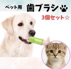 Item thumbnail for item 5f788052-1500-4034-85ae-20e924dc2786