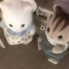 がっきー様専用