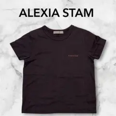 アリシアスタン　ロゴTシャツ　ブラウン　S alexiastamのサムネイル