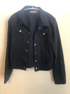 トミージーンズ　デニムジャケット Gジャン　Mサイズ