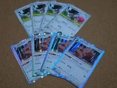 ポケモンカード　ホシガリス　ヨクバリス　進化ライン